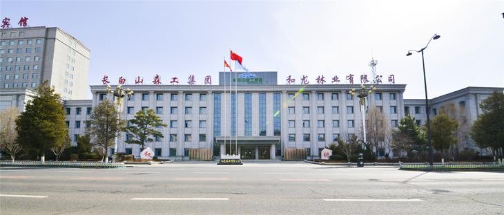 和龍林業(yè)有限公司總部大樓